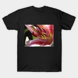 Beautiful photograph of lily flower T-Shirt